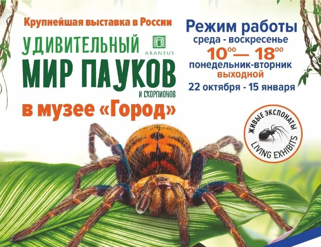 Выставка “Удивительный мир пауков” в Барнауле