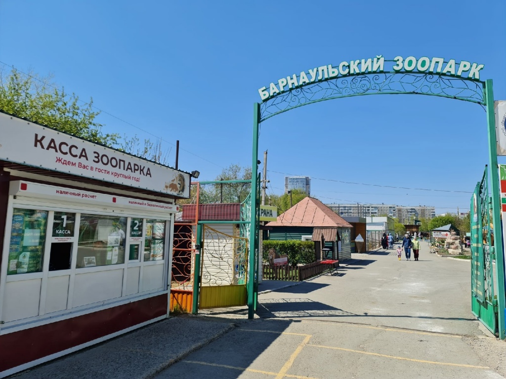 Как бесплатно пройти в Барнаульский зоопарк