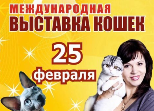 Выставка кошек в Барнауле