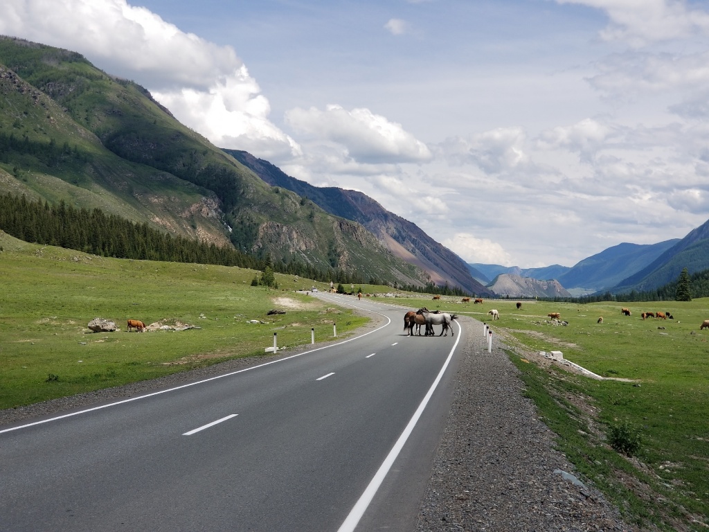 Дорога в Китай через Алтай