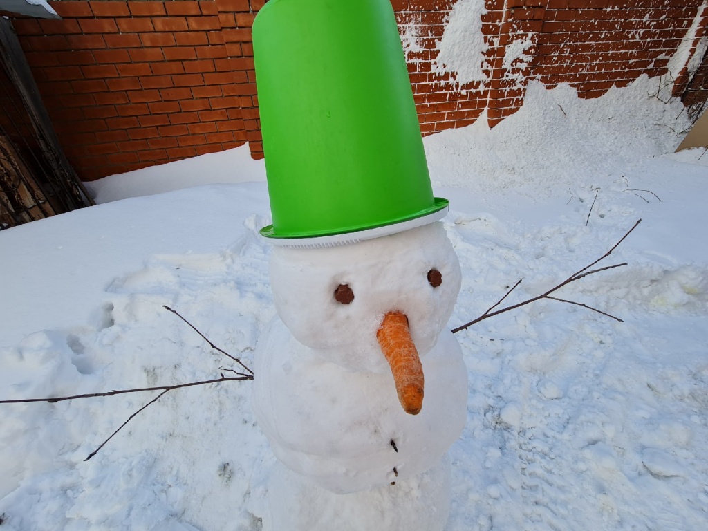 Конкурс снеговиков в Горно-Алтайске.jpg