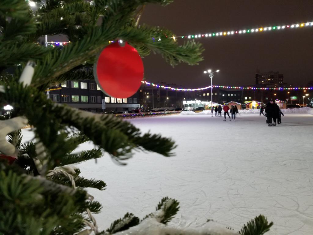 Где в Барнауле появятся новогодние елки и снежные городки?