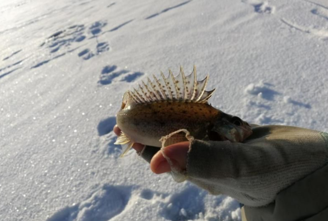 Зимняя рыбалка на Алтае.png