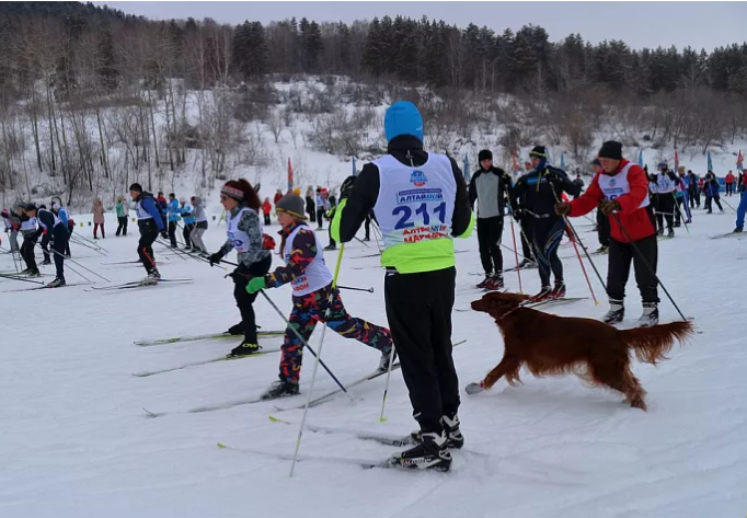АлтайSKIй лыжный марафон.png