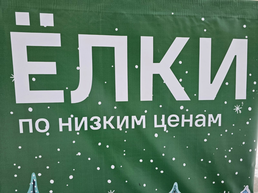 Стоимость на новогодние ёлки в барнауле достигает 200 тысяч рублей