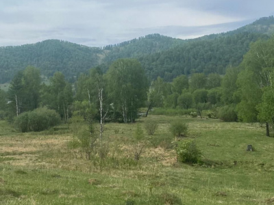 В продаже земельные участки в Горном Алтае, прилегающие к селу Мьюта