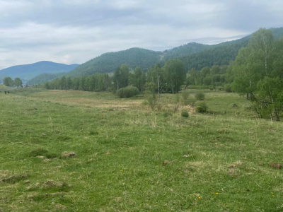 В продаже земельные участки в Горном Алтае, прилегающие к селу Мьюта