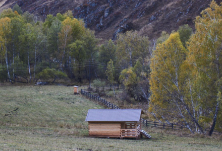 Турбаза "Белогорье" расположена в горах Алтая