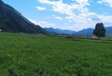 В продаже земельные участки в Горном Алтае, на новом плато Барантал